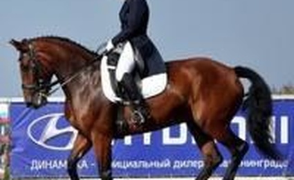 Екатерининский