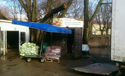 Галелея
