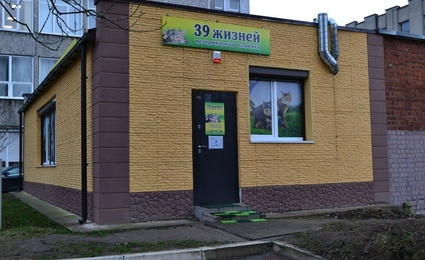 39 жизней