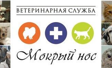 Ветеринарный кабинет Мокрый нос