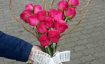 Н-флора