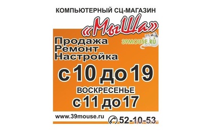Мыша