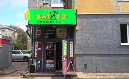 Катико
