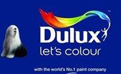 Мастерская Цвета Dulux