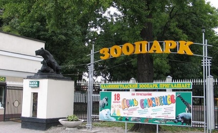 Калининградский зоопарк